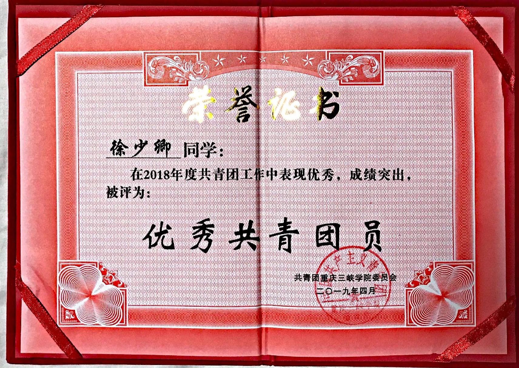 优秀共青团员